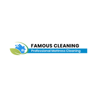 Famous Mattress Cleaning